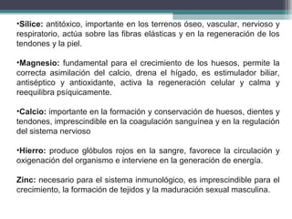 •Sílice: antitóxico, importante en los terrenos óseo, vascular, nervioso y
respiratorio, actúa sobre las fibras elásticas y en la regeneración de los
tendones y la piel.
•Magnesio: fundamental para el crecimiento de los huesos, permite la
correcta asimilación del calcio, drena el hígado, es estimulador biliar,
antiséptico y antioxidante, activa la regeneración celular y calma y
reequilibra psíquicamente.
•Calcio: importante en la formación y conservación de huesos, dientes y
tendones, imprescindible en la coagulación sanguínea y en la regulación
del sistema nervioso
•Hierro: produce glóbulos rojos en la sangre, favorece la circulación y
oxigenación del organismo e interviene en la generación de energía.
Zinc: necesario para el sistema inmunológico, es imprescindible para el
crecimiento, la formación de tejidos y la maduración sexual masculina.
 