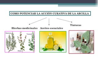 COMO POTENCIAR LA ACCIÓN CURATIVA DE LA ARCILLA
Hierbas medicinales Aceites esenciales
Tinturas
 