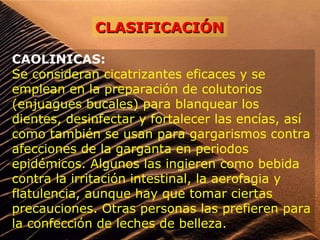 CLASIFICACIÓNCLASIFICACIÓN
CAOLINICAS:
Se consideran cicatrizantes eficaces y se
emplean en la preparación de colutorios
(enjuagues bucales) para blanquear los
dientes, desinfectar y fortalecer las encías, así
como también se usan para gargarismos contra
afecciones de la garganta en periodos
epidémicos. Algunos las ingieren como bebida
contra la irritación intestinal, la aerofagia y
flatulencia, aunque hay que tomar ciertas
precauciones. Otras personas las prefieren para
la confección de leches de belleza.
 