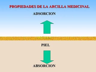 PIELPIEL
ARCILLAARCILLA
ADSORCIONADSORCION
ABSORCIONABSORCION
PROPIEDADES DE LA ARCILLA MEDICINALPROPIEDADES DE LA ARCILLA MEDICINAL
 