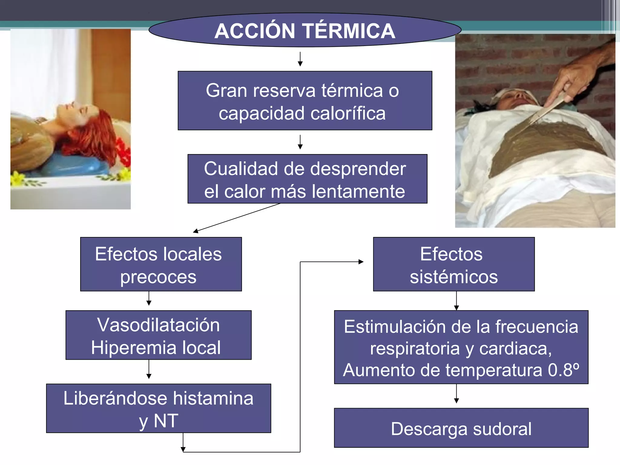 ACCIÓN TÉRMICA

                Gran reserva térmica o
                 capacidad calorífica

               Cualidad de desprender
               el calor más lentamente


   Efectos locales                        Efectos
      precoces                           sistémicos

   Vasodilatación              Estimulación de la frecuencia
   Hiperemia local                respiratoria y cardiaca,
                               Aumento de temperatura 0.8º
Liberándose histamina
        y NT                         Descarga sudoral
 