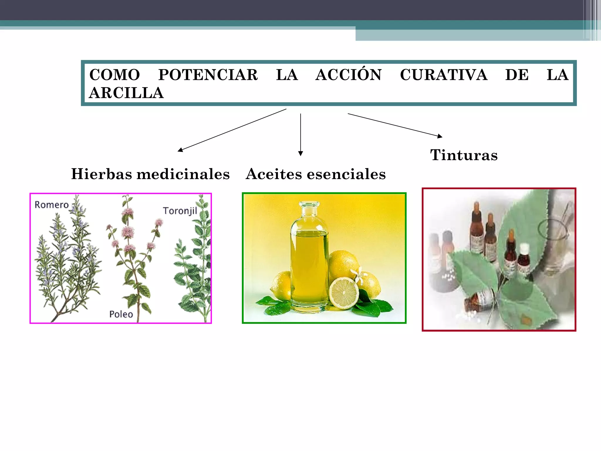 COMO POTENCIAR         LA   ACCIÓN       CURATIVA     DE   LA
  ARCILLA



                                             Tinturas
Hierbas medicinales   Aceites esenciales
 