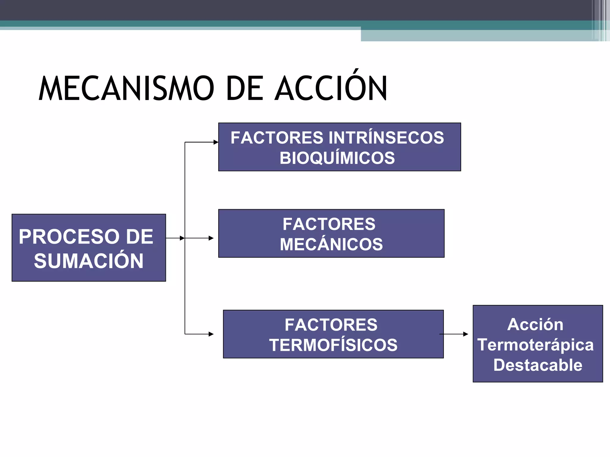 MECANISMO DE ACCIÓN PROCESO DE  SUMACIÓN FACTORES INTRÍNSECOS  BIOQUÍMICOS  FACTORES  MECÁNICOS FACTORES  TERMOFÍSICOS Acción  Termoterápica  Destacable 