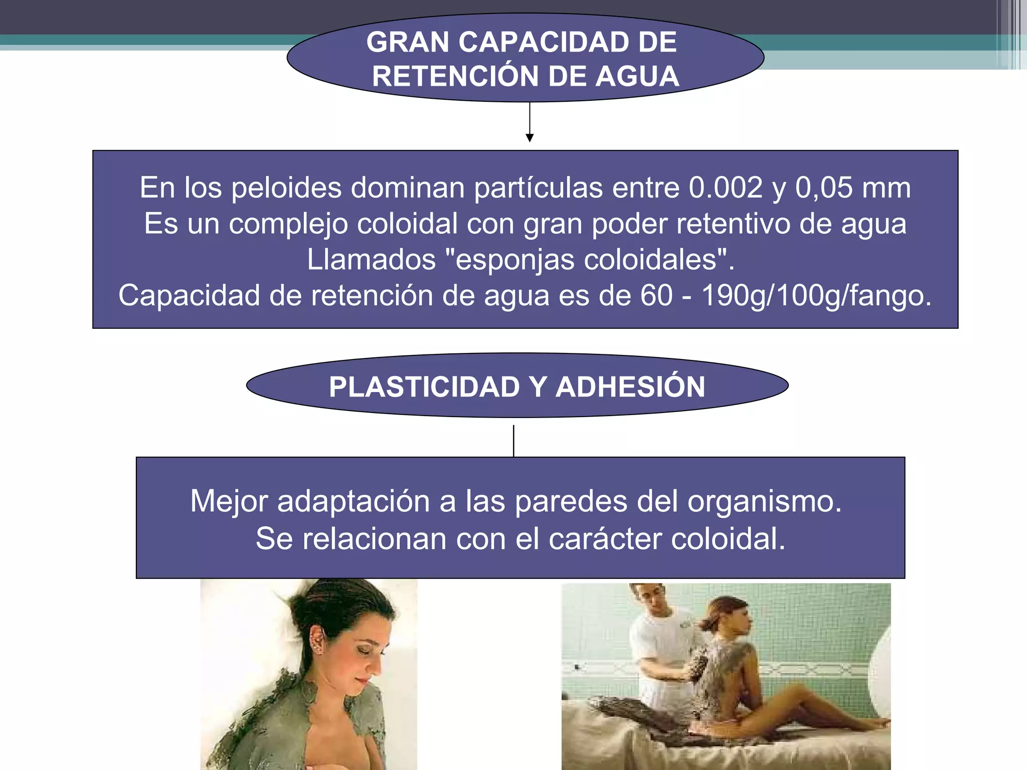 En los peloides dominan partículas entre 0.002 y 0,05 mm Es un complejo coloidal con gran poder retentivo de agua Llamados "esponjas coloidales".  Capacidad de retención de agua es de 60 - 190g/100g/fango. PLASTICIDAD Y ADHESIÓN GRAN CAPACIDAD DE  RETENCIÓN DE AGUA Mejor adaptación a las paredes del organismo.  Se relacionan con el carácter coloidal. 
