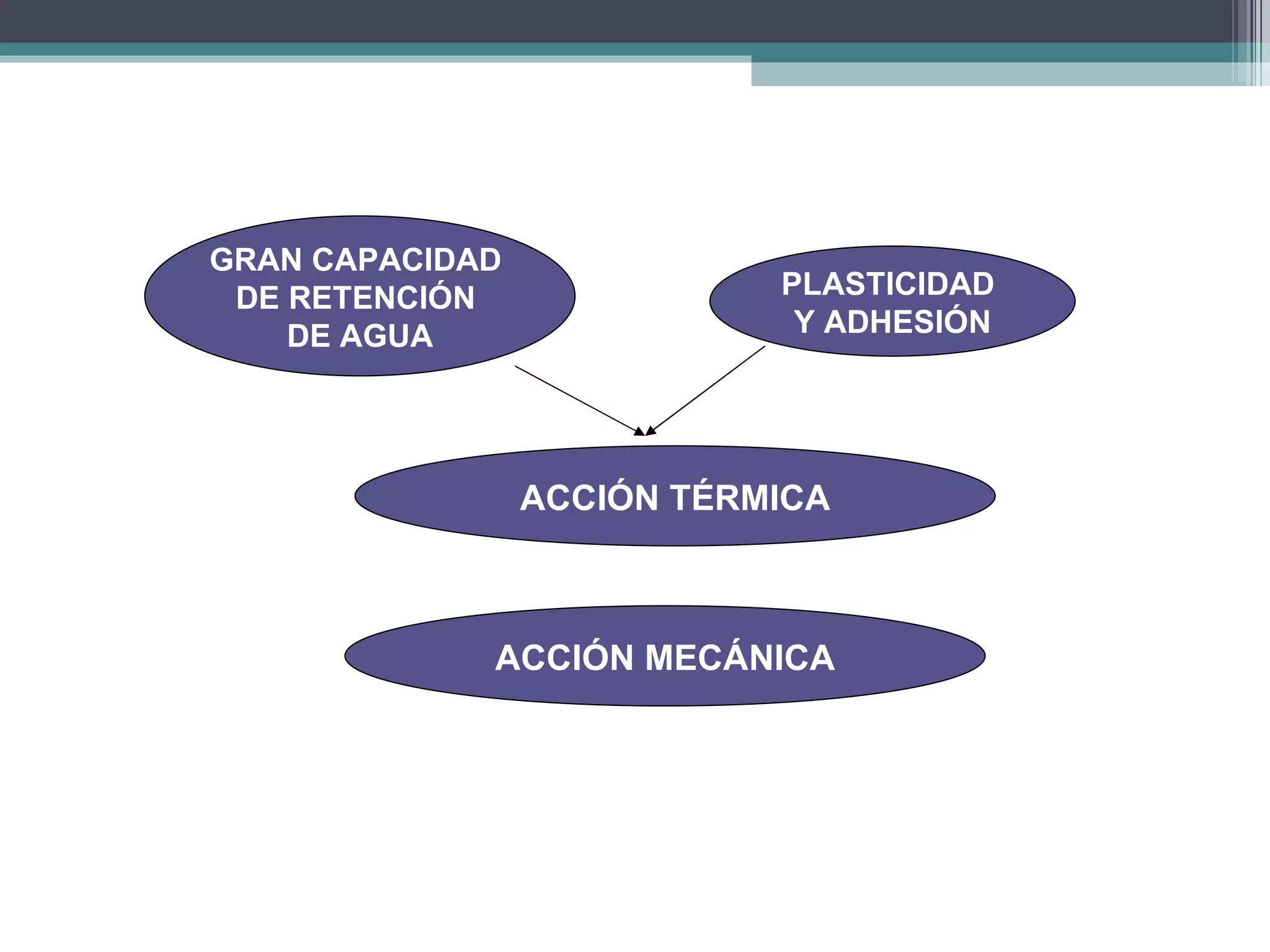 ACCIÓN TÉRMICA PLASTICIDAD  Y ADHESIÓN GRAN CAPACIDAD  DE RETENCIÓN  DE AGUA ACCIÓN MECÁNICA + 