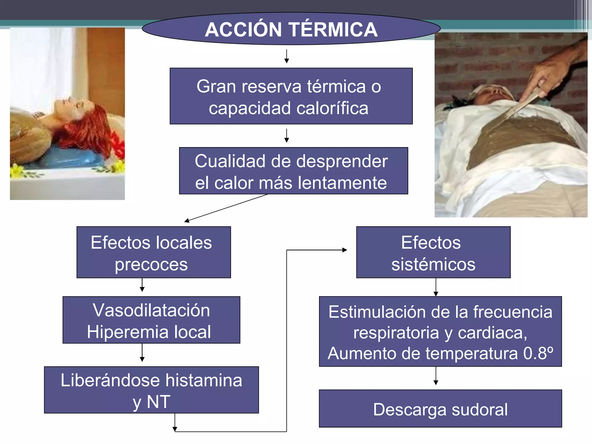 ACCIÓN TÉRMICA Gran reserva térmica o  capacidad calorífica  Cualidad de desprender  el calor más lentamente  Efectos locales  precoces  Efectos  sistémicos Vasodilatación Hiperemia local  Liberándose histamina y NT  Estimulación de la frecuencia respiratoria y cardiaca,  Aumento de temperatura 0.8º Descarga sudoral 