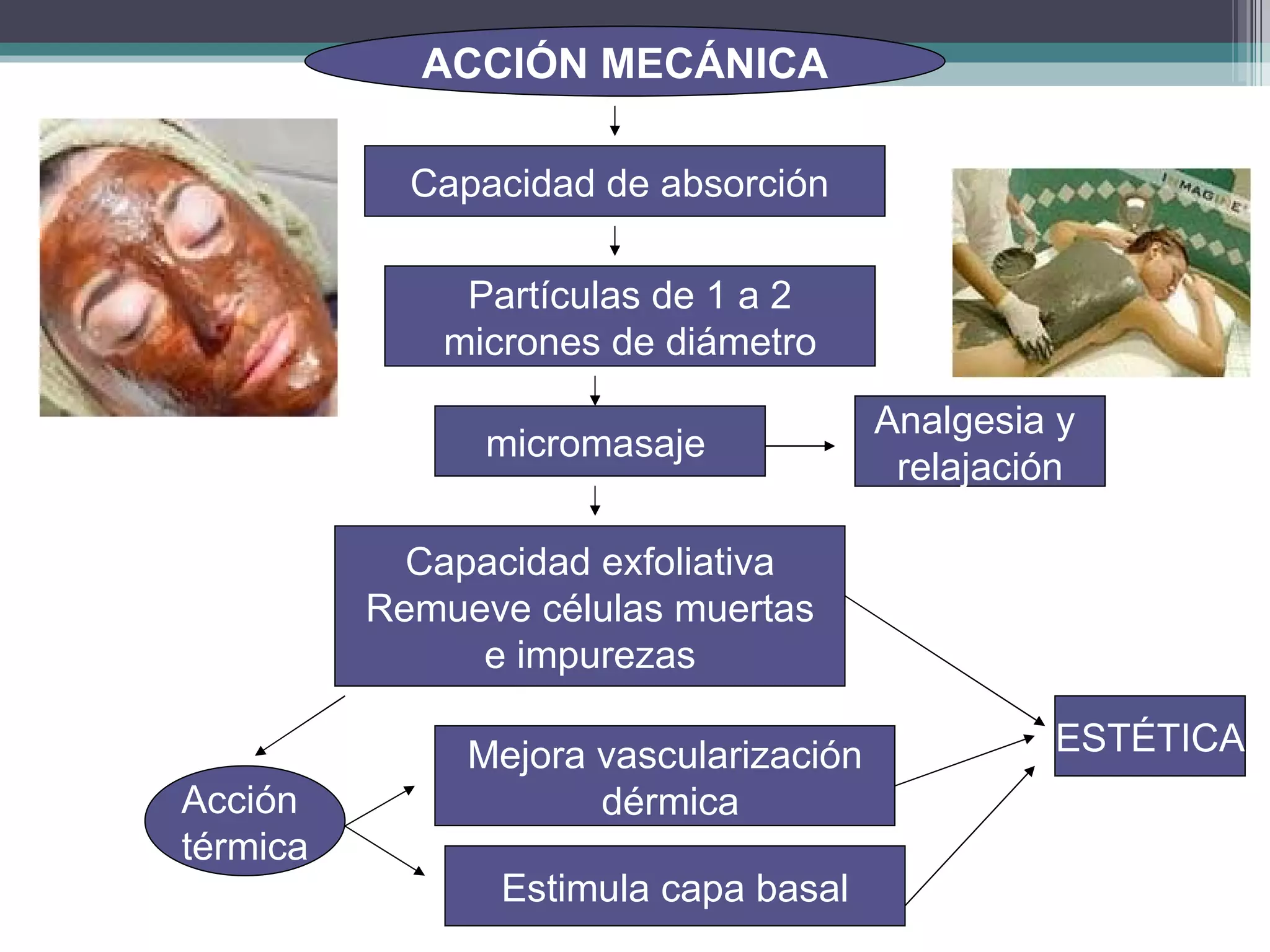 ACCIÓN MECÁNICA Capacidad de absorción  Partículas de 1 a 2 micrones de diámetro  Capacidad exfoliativa Remueve células muertas e impurezas Mejora vascularización dérmica micromasaje   Analgesia y  relajación Estimula capa basal Acción  térmica + ESTÉTICA 