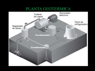 PLANTA GEOTERMICA
 