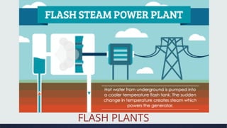 FLASH PLANTS
 