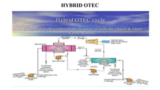 HYBRID OTEC
 