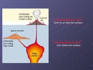 Extrusive igneous rocks 
form on or near the surface. 
Intrusive igneous rocks 
form below the surface. 
 