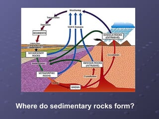 Where do sedimentary rocks form? 
 