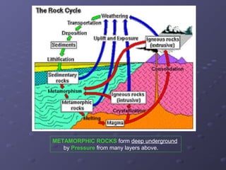 METAMORPHIC ROCKS form deep underground 
by Pressure from many layers above. 
 
