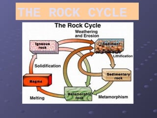 THE ROCK CYCLE 
 