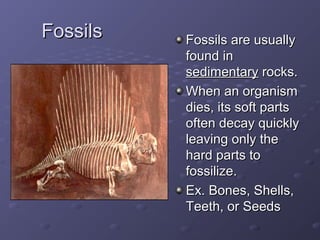 FFoossssiillss FFoossssiillss aarree uussuuaallllyy 
ffoouunndd iinn 
sseeddiimmeennttaarryy rroocckkss.. 
WWhheenn aann oorrggaanniissmm 
ddiieess,, iittss ssoofftt ppaarrttss 
oofftteenn ddeeccaayy qquuiicckkllyy 
lleeaavviinngg oonnllyy tthhee 
hhaarrdd ppaarrttss ttoo 
ffoossssiilliizzee.. 
EExx.. BBoonneess,, SShheellllss,, 
TTeeeetthh,, oorr SSeeeeddss 
 