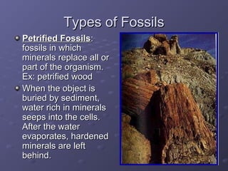 TTyyppeess ooff FFoossssiillss 
PPeettrriiffiieedd FFoossssiillss:: 
ffoossssiillss iinn wwhhiicchh 
mmiinneerraallss rreeppllaaccee aallll oorr 
ppaarrtt ooff tthhee oorrggaanniissmm.. 
EExx:: ppeettrriiffiieedd wwoooodd 
WWhheenn tthhee oobbjjeecctt iiss 
bbuurriieedd bbyy sseeddiimmeenntt,, 
wwaatteerr rriicchh iinn mmiinneerraallss 
sseeeeppss iinnttoo tthhee cceellllss.. 
AAfftteerr tthhee wwaatteerr 
eevvaappoorraatteess,, hhaarrddeenneedd 
mmiinneerraallss aarree lleefftt 
bbeehhiinndd.. 
 