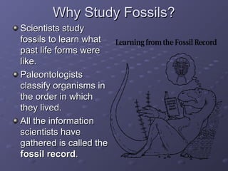 WWhhyy SSttuuddyy FFoossssiillss?? 
SScciieennttiissttss ssttuuddyy 
ffoossssiillss ttoo lleeaarrnn wwhhaatt 
ppaasstt lliiffee ffoorrmmss wweerree 
lliikkee.. 
PPaalleeoonnttoollooggiissttss 
ccllaassssiiffyy oorrggaanniissmmss iinn 
tthhee oorrddeerr iinn wwhhiicchh 
tthheeyy lliivveedd.. 
AAllll tthhee iinnffoorrmmaattiioonn 
sscciieennttiissttss hhaavvee 
ggaatthheerreedd iiss ccaalllleedd tthhee 
ffoossssiill rreeccoorrdd.. 
 
