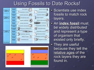 UUssiinngg FFoossssiillss ttoo DDaattee RRoocckkss!! 
SScciieennttiissttss uussee iinnddeexx 
ffoossssiillss ttoo mmaattcchh rroocckk 
llaayyeerrss.. 
AAnn iinnddeexx ffoossssiill mmuusstt 
bbee wwiiddeellyy ddiissttrriibbuutteedd 
aanndd rreepprreesseenntt aa ttyyppee 
ooff oorrggaanniissmm tthhaatt 
eexxiisstteedd oonnllyy bbrriieeffllyy.. 
TThheeyy aarree uusseeffuull 
bbeeccaauussee tthheeyy tteellll tthhee 
rreellaattiivvee aaggeess ooff tthhee 
rroocckk llaayyeerrss tthheeyy aarree 
ffoouunndd iinn.. 
 