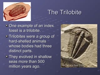 TThhee TTrriilloobbiittee 
OOnnee eexxaammppllee ooff aann iinnddeexx 
ffoossssiill iiss aa ttrriilloobbiittee.. 
TTrriilloobbiitteess wweerree aa ggrroouupp ooff 
hhaarrdd--sshheelllleedd aanniimmaallss 
wwhhoossee bbooddiieess hhaadd tthhrreeee 
ddiissttiinncctt ppaarrttss.. 
TThheeyy eevvoollvveedd iinn sshhaallllooww 
sseeaass mmoorree tthhaann 550000 
mmiilllliioonn yyeeaarrss aaggoo.. 
 