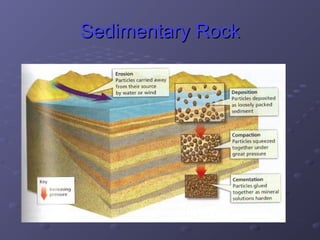 SSeeddiimmeennttaarryy RRoocckk 
 