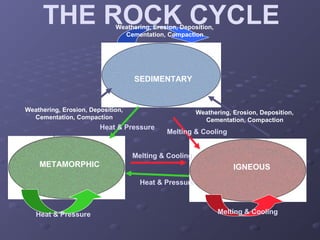 THE ROCK CYCLE 
Weathering, Erosion, Deposition, 
Cementation, Compaction 
SEDIMENTARY 
METAMORPHIC 
Heat & Pressure 
IGNEOUS 
Heat & Pressure 
Weathering, Erosion, Deposition, 
Cementation, Compaction 
Weathering, Erosion, Deposition, 
Cementation, Compaction 
Melting & Cooling 
Melting & Cooling 
Heat & Pressure Melting & Cooling 
 