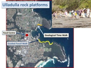 Ulladulla rock platforms
Guided Fossil Walk
Geological Time Walk
Fossil Centre
 