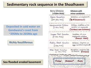 Deposited in cold water on
Gondwana’s coast from
~295Ma to 265Ma ago
Sedimentary rock sequence in the Shoalhaven
Berry Siltstone Siltstone with
[<550m thick] minor sandstone
Richly fossiliferous
Sea flooded eroded basement
 
