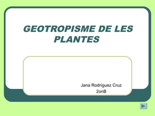 GEOTROPISME DE LES
PLANTES
Jana Rodríguez Cruz
2onB
 
