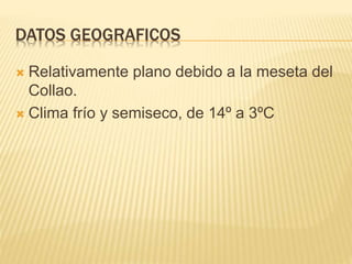 DATOS GEOGRAFICOS
Relativamente plano debido a la meseta del
Collao.
Clima frío y semiseco, de 14º a 3ºC