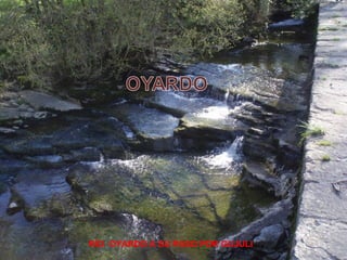 RÍO OYARDO A SU PASO POR GUJULI
 