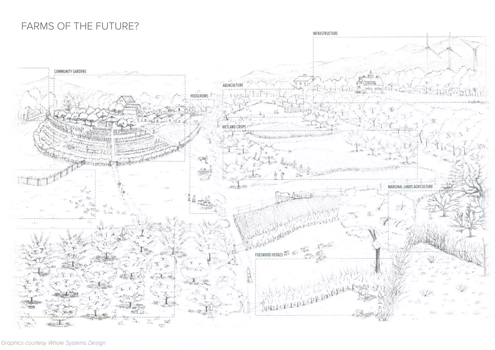 Graphics courtesy Whole Systems Design
FARMS OF THE FUTURE?