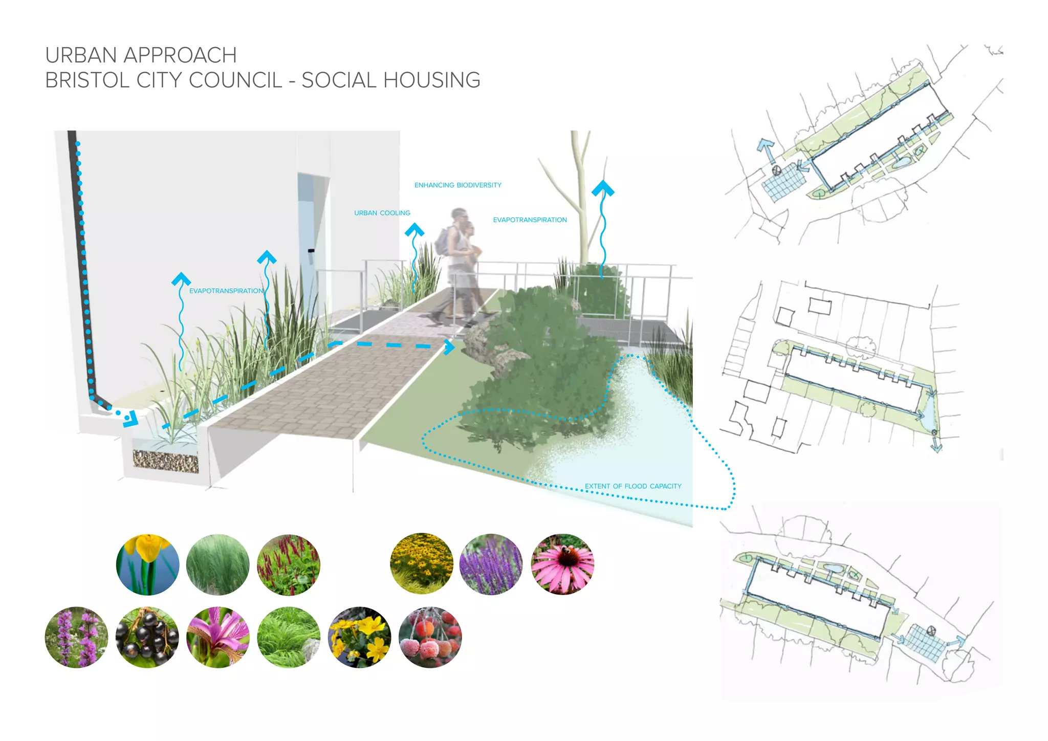 extent of flood capacity
evapotranspiration
evapotranspiration
urban cooling
enhancing biodiversity
URBAN APPROACH
BRISTOL CITY COUNCIL - SOCIAL HOUSING