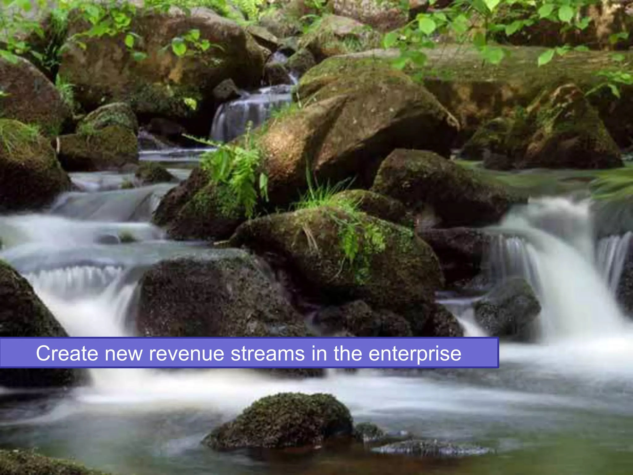 Create new revenue streams in the enterprise