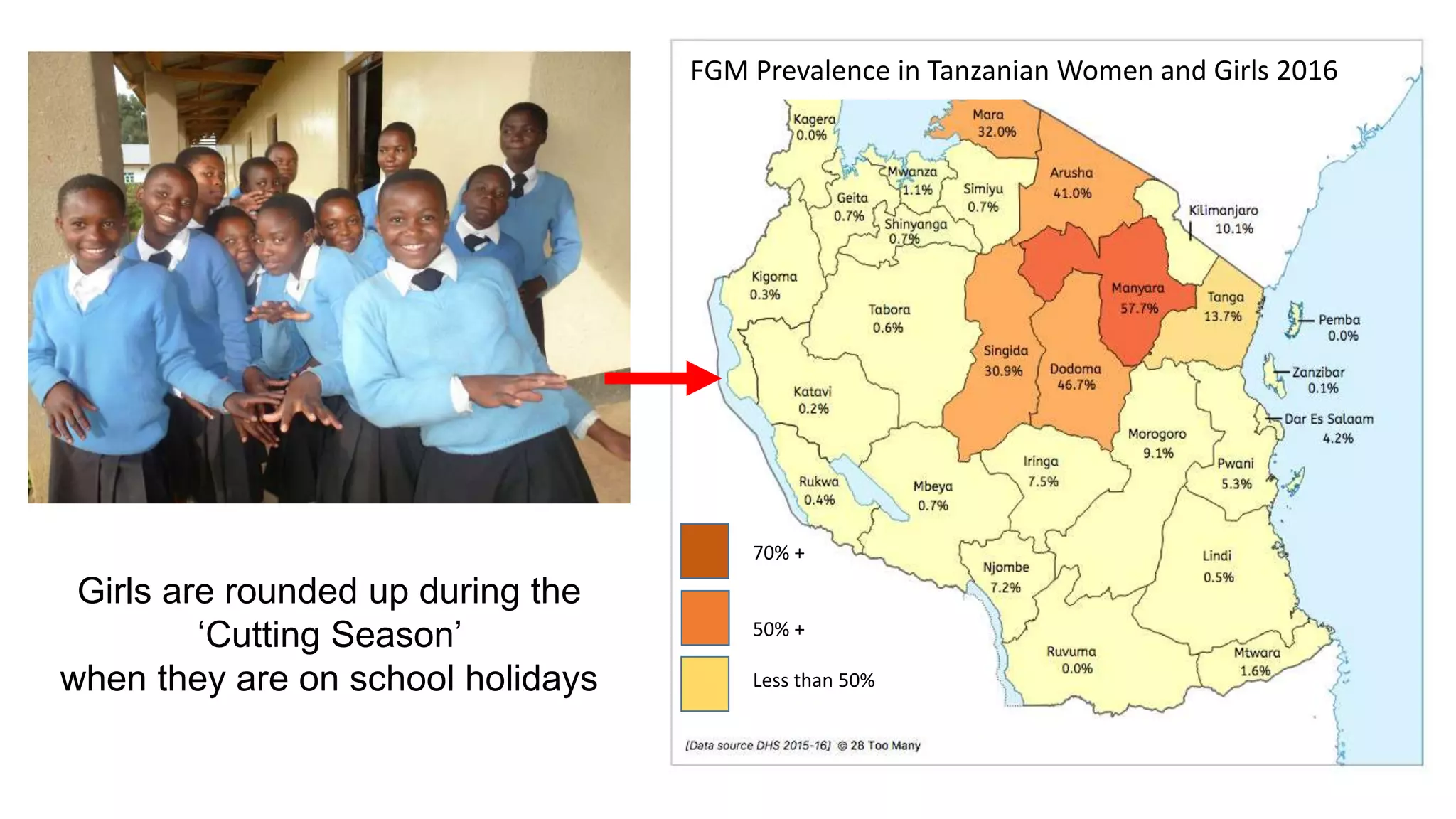 Girls are rounded up during the
‘Cutting Season’
when they are on school holidays
70% +
50% +
Less than 50%
FGM Prevalence in Tanzanian Women and Girls 2016
 