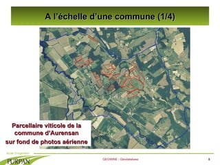 A l’échelle d’une commune (1/4) GEOWINE - Géodatabase Parcellaire viticole de la commune d’Aurensan sur fond de photos aér...