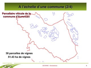 A l’échelle d’une commune (2/4) GEOWINE - Géodatabase Parcellaire viticole de la commune d’Aurensan 30 parcelles de vignes...