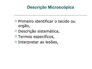 Descrição Microscópica Primeiro identificar o tecido ou orgão, Descrição sistemática,  Termos específicos, Interpretar as lesões,  