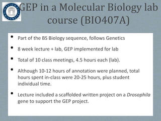 • Part of the BS Biology sequence, follows Genetics
• 8 week lecture + lab, GEP implemented for lab
• Total of 10 class meetings, 4.5 hours each (lab).
• Although 10-12 hours of annotation were planned, total
hours spent in-class were 20-25 hours, plus student
individual time.
• Lecture included a scaffolded written project on a Drosophila
gene to support the GEP project.
GEP in a Molecular Biology lab
course (BIO407A)
 