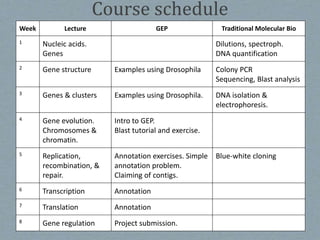Course schedule
Week Lecture GEP Traditional Molecular Bio
1 Nucleic acids.
Genes
Dilutions, spectroph.
DNA quantification
2 Gene structure Examples using Drosophila Colony PCR
Sequencing, Blast analysis
3 Genes & clusters Examples using Drosophila. DNA isolation &
electrophoresis.
4 Gene evolution.
Chromosomes &
chromatin.
Intro to GEP.
Blast tutorial and exercise.
5 Replication,
recombination, &
repair.
Annotation exercises. Simple
annotation problem.
Claiming of contigs.
Blue-white cloning
6 Transcription Annotation
7 Translation Annotation
8 Gene regulation Project submission.
 