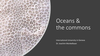 Oceans &
the commons
International University in Geneva
Dr. Joachim Monkelbaan
 