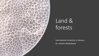 Land &
forests
International University in Geneva
Dr. Joachim Monkelbaan
 