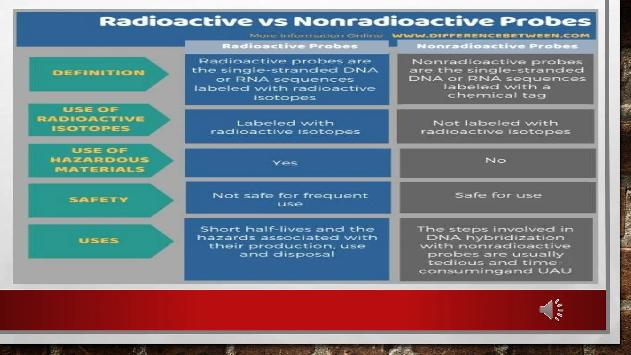 Radioactive and Non radioactive probes PPT