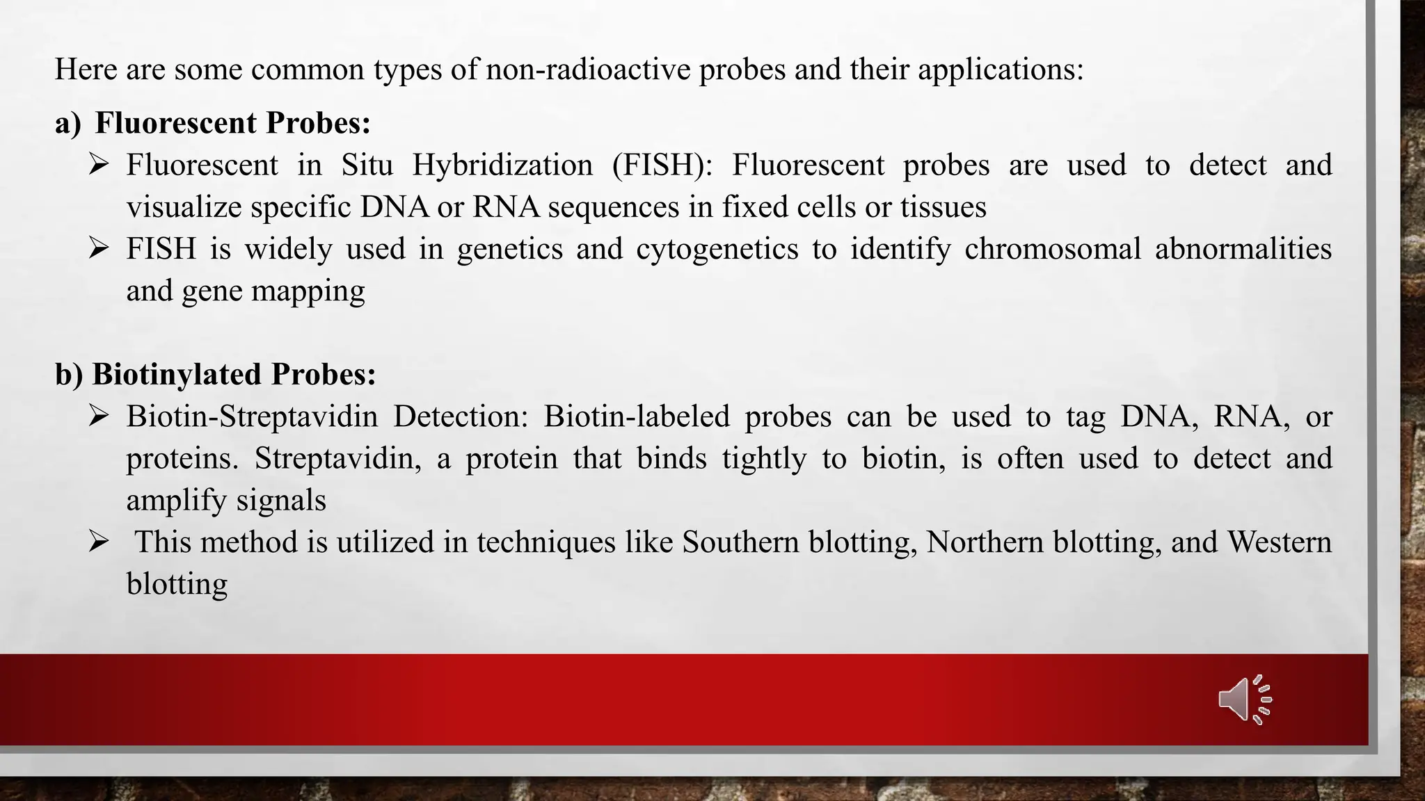 Radioactive and Non radioactive probes PPT