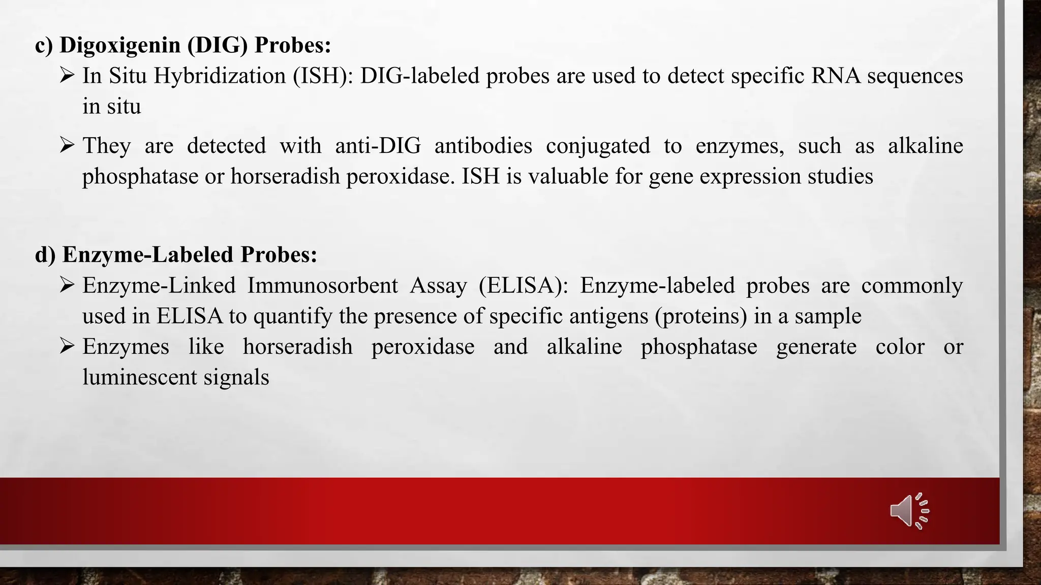 Radioactive and Non radioactive probes PPT