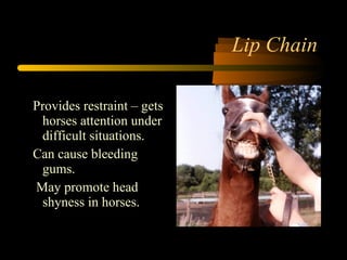 Lip Chain Provides restraint – gets horses attention under difficult situations. Can cause bleeding gums. May promote head shyness in horses. 