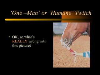 ‘ One –Man’ or ‘Humane’ Twitch OK, so what’s  REALLY  wrong with this picture? 
