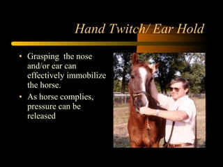 Hand Twitch/ Ear Hold Grasping  the nose and/or ear can effectively immobilize the horse.  As horse complies, pressure can be released 