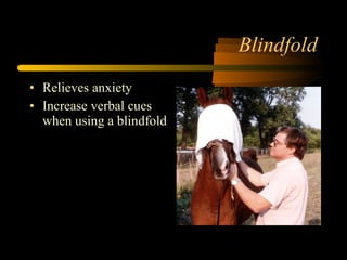 Blindfold Relieves anxiety Increase verbal cues when using a blindfold 
