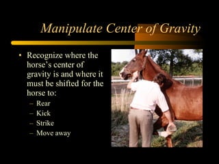 Manipulate Center of Gravity Recognize where the horse’s center of gravity is and where it must be shifted for the horse to: Rear Kick Strike Move away 