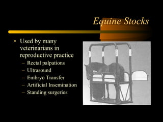 Equine Stocks Used by many veterinarians in reproductive practice Rectal palpations Ultrasound Embryo Transfer Artificial Insemination Standing surgeries 